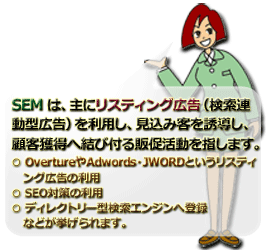 SEMサマリー説明