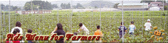 農業生産法人＆大規模農家、果樹農家等向けのラインアップページのイメージ写真